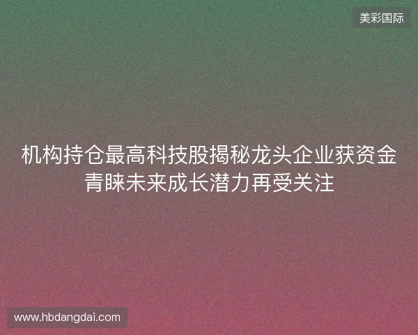 机构持仓最高科技股揭秘龙头企业获资金青睐未来成长潜力再受关注 机构持仓最高科技股揭秘龙头企业获资金青睐未来成长潜力再受关注